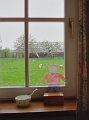 2006-04-18 _ 13-50-42